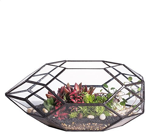 NCYP Handgefertigtes, großes, unregelmäßiges, vielflächiges, geometrisches Glas-Terrarium für sukkulente Pflanzen - Blumentopf/Übertopf für Fensterbank, Balkon, Tischplatte - 28 cm (ohne Pflanzen)