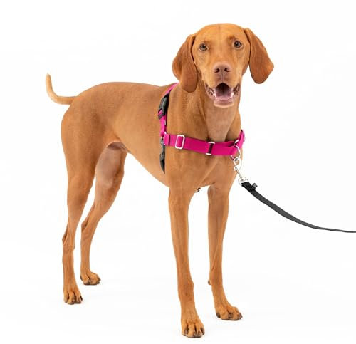 PetSafe Easy Walk-Geschirr, Anti-Zieh-Hundegeschirr, Verringert Würgen und Husten, Mit 1,8 M Leine, Größe M, Rosa