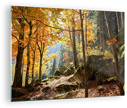 ARTTOR Bilder auf Glas 70x50cm Wandbild Glasdruck Landschaften Natur - 2713 | Herbst Berg Wald Klein Modern Dekoration Wohnzimmer Schlafzimmer Küche Wanddeko Kunstdruck Art Wall Decor ARTTOR