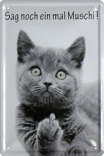 WOGEKA ART Retro Blechschild - Sag noch einmal Muschi Katze - witziger Spruch als Geschenk-Idee zum Geburtstag Weihnachten zur Dekoration 20x30 cm Vintage-Design aus Metall 1010