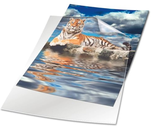 Durable 233919 Aktmapp A4, transparent, 50 stycken