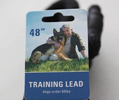 Cesar Millan Hundeflüsterer Leine Hundehalsband Illusion Collar Schwarz gewebte weiche Baumwolle