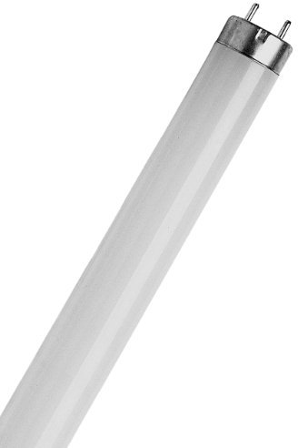 Osram DULUX L 18 W/930 SP Tube Fluorescent 2G11 Lot de 10-1