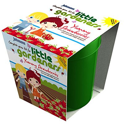 Mr Fothergill's 21799 Little Gardeners Strawberry Grow Kit - Multi-Colour