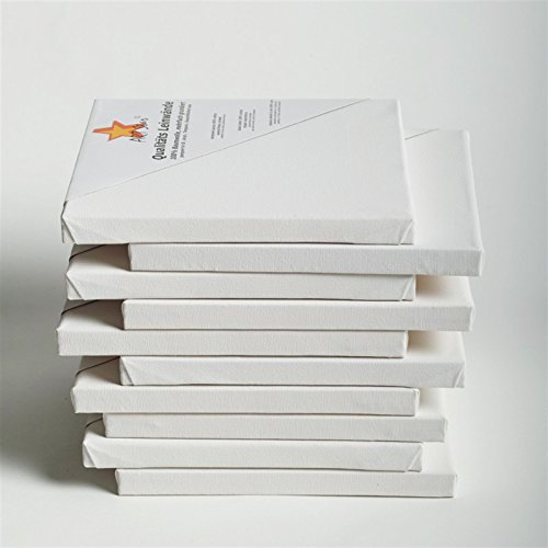 Art-Star 10 LEINWÄNDE AUF KEILRAHMEN 40x40 cm | malfertig, 100% Baumwolle, ideal für Mal-Einsteiger