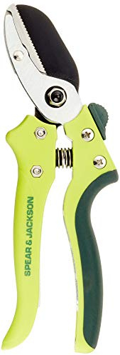 Spear & Jackson 7158KEW Kew Gardens Kollektion Razorsharp Amboss-Gartenschere