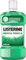 Listerine Menta Fresca (1 x 500 ml), enjuague bucal con flúor, colutorio bucal con 24 horas de protección, elixir bucal mentolado para un aliento fresco duradero