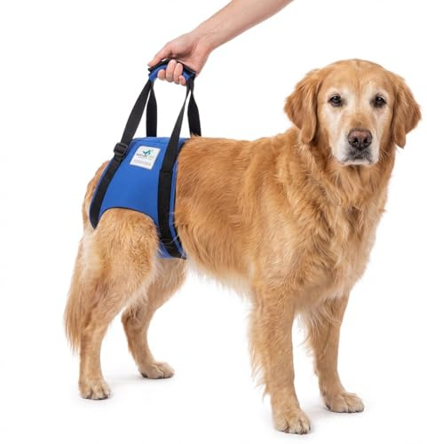 Nature Pet © - Tragehilfe Hund hinten - Verstellbarer Hunde Tragegurt als Treppenhilfe - Ideal für ältere, kranke oder operierte Vierbeiner - Praktische Unterstützung für Mobilität (M, Schwarz)