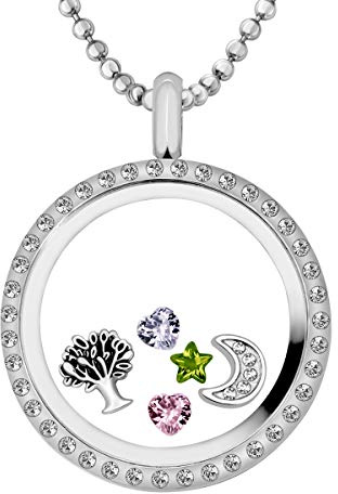 Quiges Médaillon à Mémoire Vivante en Acier Inoxydable 30mm avec Collier 90cm et 5 Charms Flottantes Set