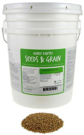 Organic Buck Wheat Groats- Hulled Buckwheat Seeds- 30 Lbs- Use for Sprouting Seed, Gardening, Planting, Edible Seeds, Emergency Food Storage