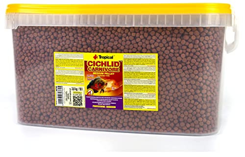 Tropical Cichlid Carnivore Pellet M 10L