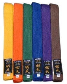 Kaiten Karategürtel Gürtel Budogürtel Baumwolle (violett) (275)