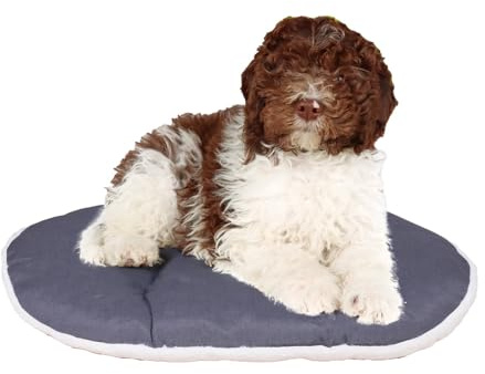 FERPLAST Hundebett & Katzenbett - Hundebett Mittel - Hundebett Waschbar - Hundekissen - Matte für Hundehütten, Zwinger und Auto - Hundebett Flauschig - Relax - 78 x 50 CM, ML, BEIGE