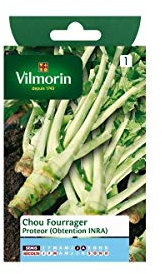 Sachet graines Chou Fourrager Proteor (obtention INRA)