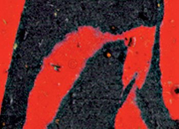 Cinelli Cork Tape Macro Splash Black Red by Cinelli