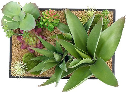 Carlo Milano Vertikaler Wandgarten Lara mit Deko-Pflanzen, 20 x 30 cm