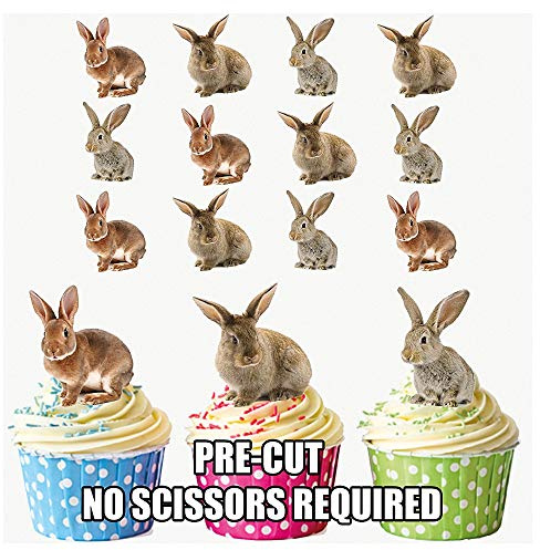 AK Giftshop PRE-CUT Cute Bunny Rabbit Mix - Edible Cupcake Toppers/Cake Decorations (Pack of 12)
