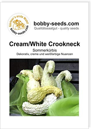Creamwhite Crookneck Kürbissamen von Bobby-Seeds, Portion