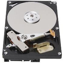 Toshiba 3TB 3.5 7.2k SATA III 3.5 3000 Go Série ATA III - Disques durs (3.5, 3000 Go, 7200 TR/Min)