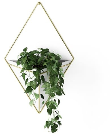 Umbra Trigg Wandvase & Geometrische Deko - Übertopf Für Zimmerpflanzen, Sukkulenten, Luftpflanzen, Kakteen, Kunstpflanzen und Mehr, Weiss/Messing, Gross