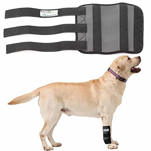 Nature Pet Sport Hand Gelenk Bandage für Hunde - geeignet für Rettungs- und Diensthunde oder Agility, Flyball und Hunde Frisbee (XL)
