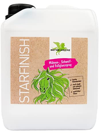 Parisol StarFinish 2500 ml Kanister