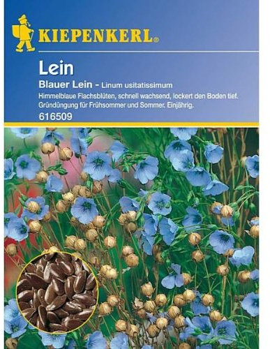 Leinsaat, Gründünger