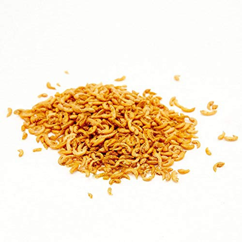 Warnick´s Tierfutterservice Gammarus - Bachflohkrebse, Koifutter, Reptilienfutter (5.000ml)