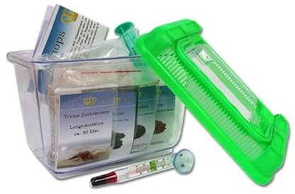 Triops King Urzeitkrebse Einsteiger Set II 50 Eier und einem grünen Deckel - Inkl. Futter, Anleitung, Sand, Thermometer, Triopseiern der Art Longicaudatus und vielem mehr