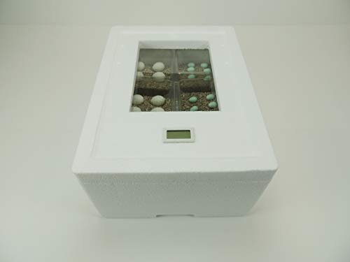 ST3 Reptilien Inkubator Komplettset – Brutkasten mit Thermo-Hygrometer & Sichtfenster – Brutmaschine für Reptilieneier inkl. Heizstab, 6 Gelegedosen & Vermiculite – für Bartagamen, Geckos & Schlangen