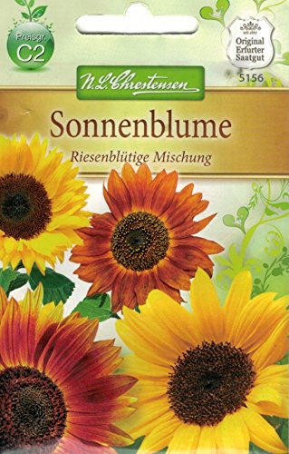 Chrestensen Sonnenblume 'Riesenblütige Mischung'