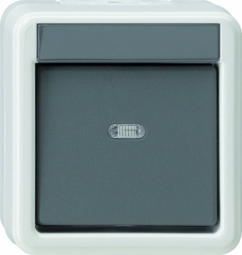 Gira 010730 Wippschalter Kreuz Wassergeshütz Aufputz, grau
