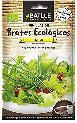 Semillas Batlle BROTES TRIGO - ECO