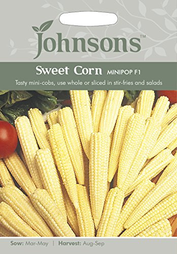 Johnsons 15303 Vegetable Seeds, Sweet Corn Minipop F1