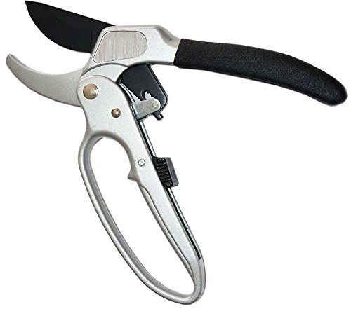 Forbice cesoia da giardino a cricchetto per potatura alberi e piante taglia Rami giardinaggio