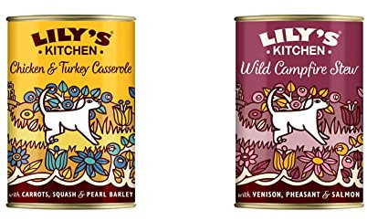 Lily's Kitchen Chicken & Turkey Casserole and Wild Campfire Stew - Adult Wet Dog Food (6 x 2 Tins x 400 g)