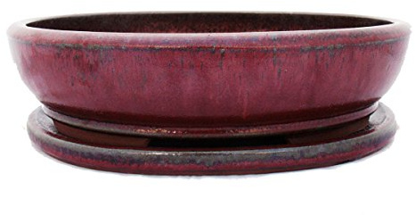 exotenherz Bonsai-Schale mit Unterteller Gr. 6 - rot - oval - Modell O3 - L 36cm - B 28cm - H 10cm