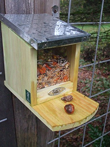 deko-impression Eichhörnchen Futterhaus, futterautomat, futterstelle + 500 Gr Futter