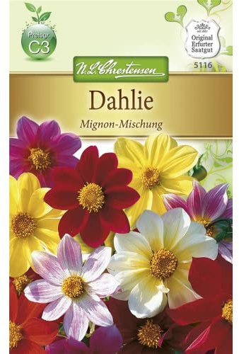 Chrestensen Dahlie 'Mignon-Mischung'