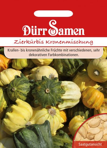 Dürr Samen 1803 Zierkürbis Kronenmischung (Zierkürbissamen)