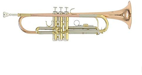 Roy Benson Bb Trompete MOD.TR-202G goldmessing lackiert, inkl. Etui