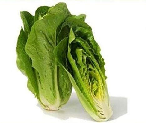 Heirloom Romaine Laitue Parris Island Cos (100 graines)