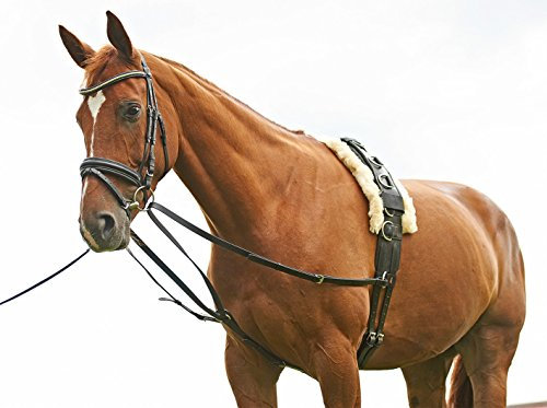 BUSSE solibel Dreieckszügel SOLIBEL