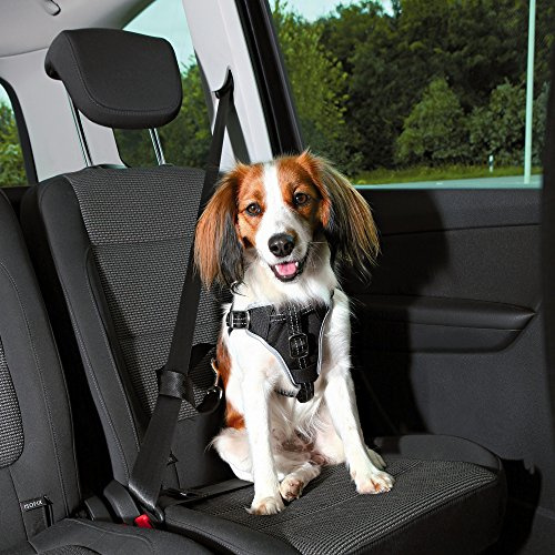Trixie, Auto-Geschirr Dog Protect schwarz S-M