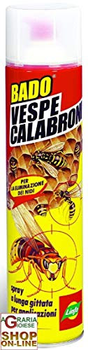 LINFA Insetticida Anti Vespe e Calabroni Bado® 600ml