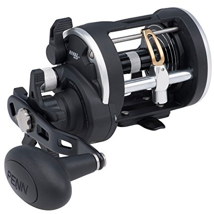 PENN Rival™ - Carrete de Pesca de Nivel de Viento, carretes convencionales, Carrete de Pesca para Barco y Kayak, Carrete de Agua Salada Resistente para Bacalao, lubina, Peces Planos, Rayas, Tope,