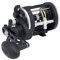 PENN Rival Level Wind Rollen