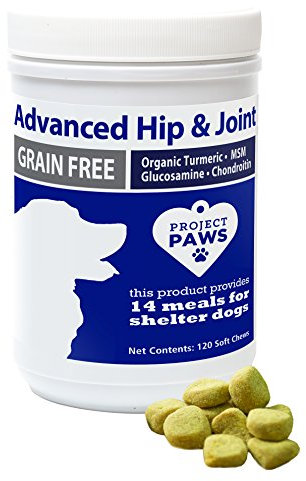 Project Paws 840235142331