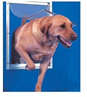 Ideal_Pet_Products Portière en Aluminium pour Animal Domestique avec Cadre télescopique, Taille XL, 26,7 x 38,1 cm, Blanc
