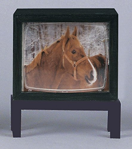 Kahlert Licht 40657 Puppenhauszubehör, schwarz mit Motiv